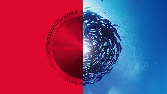 Halbierte Komposition: links eine rote Fläche mit kreisförmigem, metallisch schimmernden Element, rechts ein Schwarm Fische im blauen Meer, die sich spiralförmig anordnen.