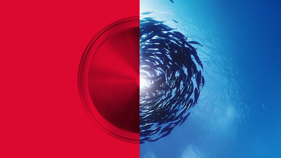 Halbierte Komposition: links eine rote Fläche mit kreisförmigem, metallisch schimmernden Element, rechts ein Schwarm Fische im blauen Meer, die sich spiralförmig anordnen.